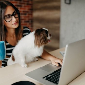 woman working on laptop with dog on her lap | Portfolio: Business/Marketing